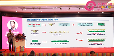 2019第三屆太陽鳥畜牧產(chǎn)業(yè)無抗發(fā)展大會（王愛勤研究員報告）